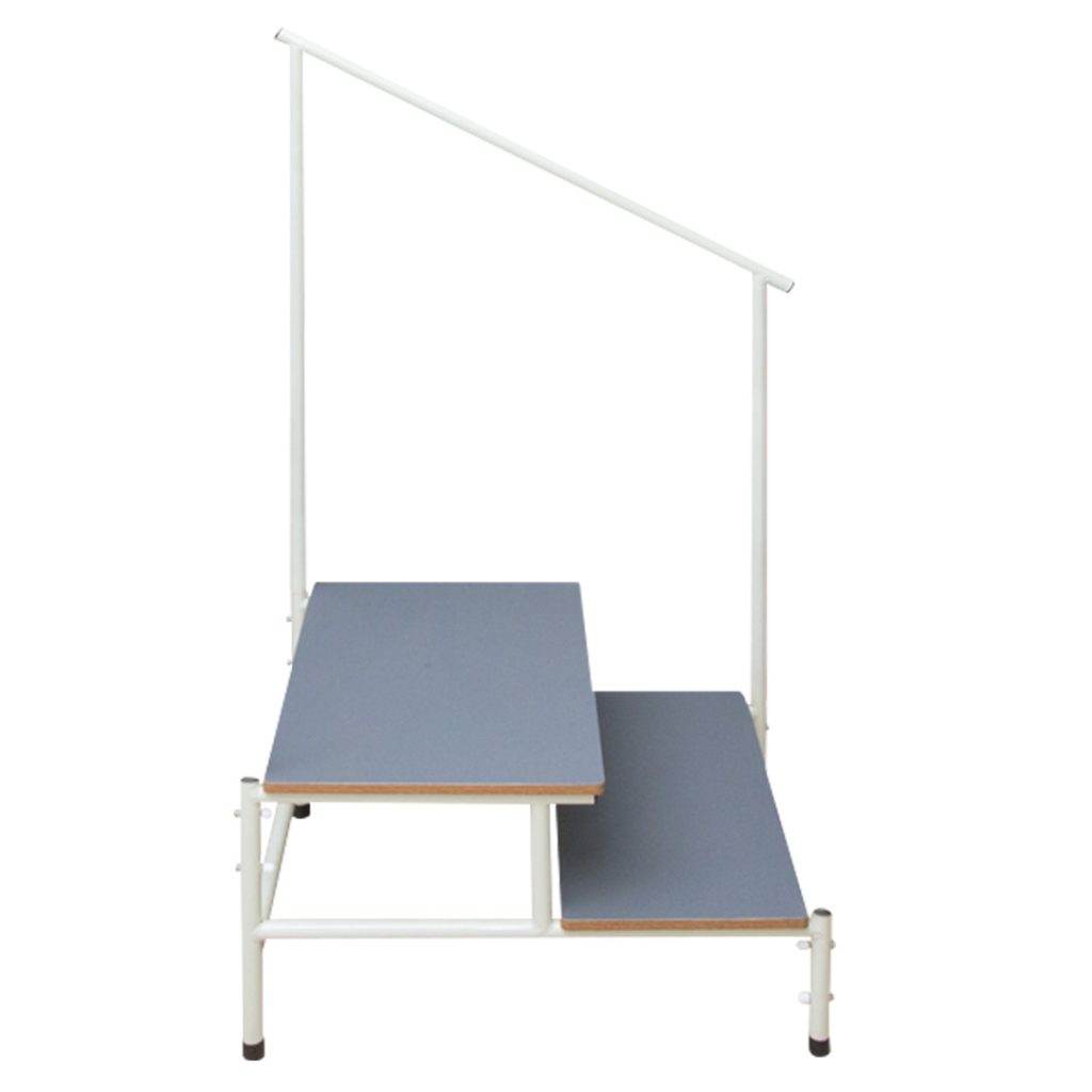 Task Medical Double Step Stool With Handle Rail - Image 2