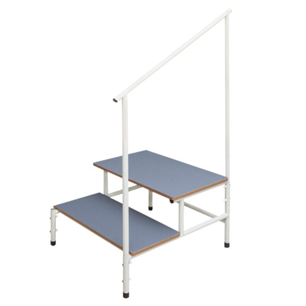 Task Medical Double Step Stool With Handle Rail